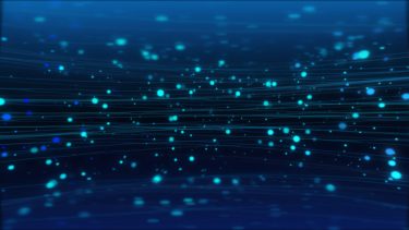 鼻から小錦（こにしき）